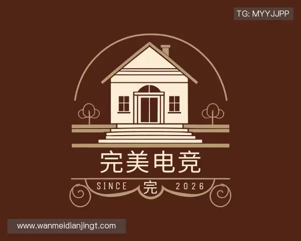 发现完美电竞